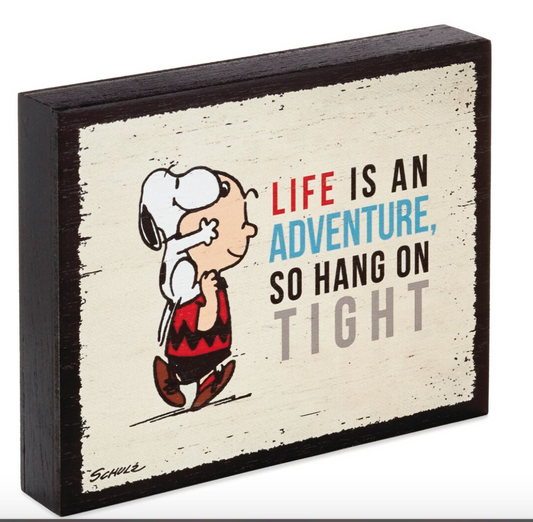 PEANUTS CHARLIE BROWN & SNOOPY ADVENTURE WOOD SIGN